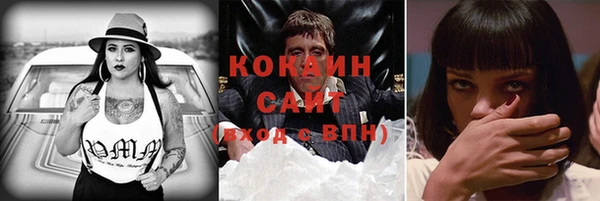 гидра Лихославль