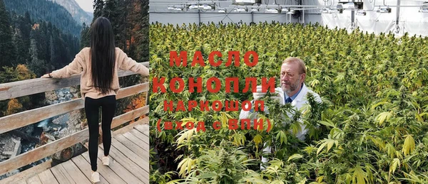 спайс Аркадак