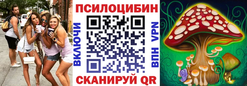 Галлюциногенные грибы GOLDEN TEACHER OMG рабочий сайт Мглин цены наркотик